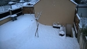 jardin sous la neige