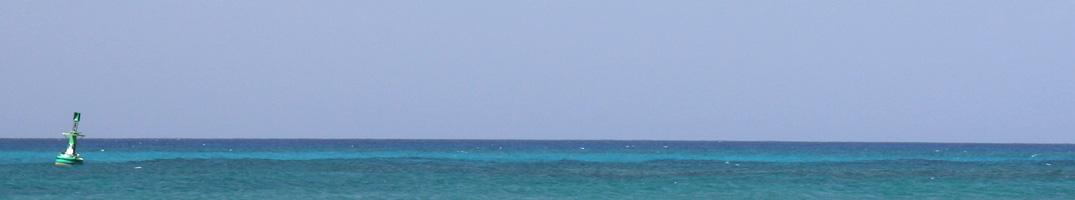 En-tête